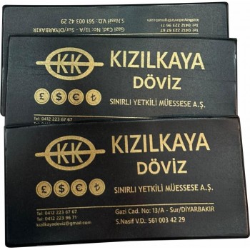 Döviz Kabı Para Saklama Kabı 
