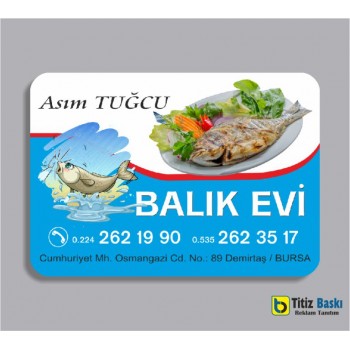 Balıkçı Magneti