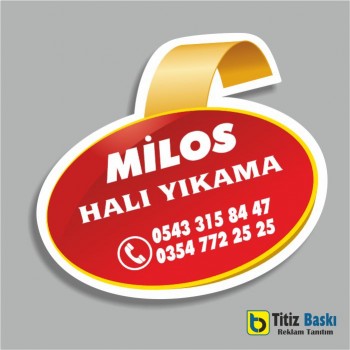 Koltuk Yıkama