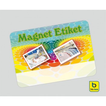 Kuru Temizleme Magneti