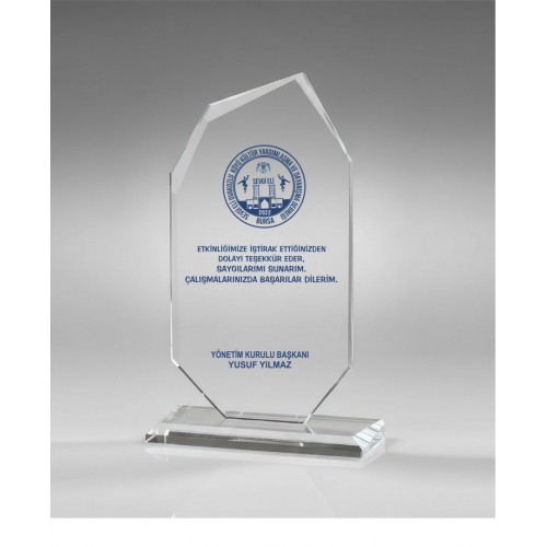 Cam Plaket