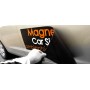 Araç Magneti Araç Magneti
